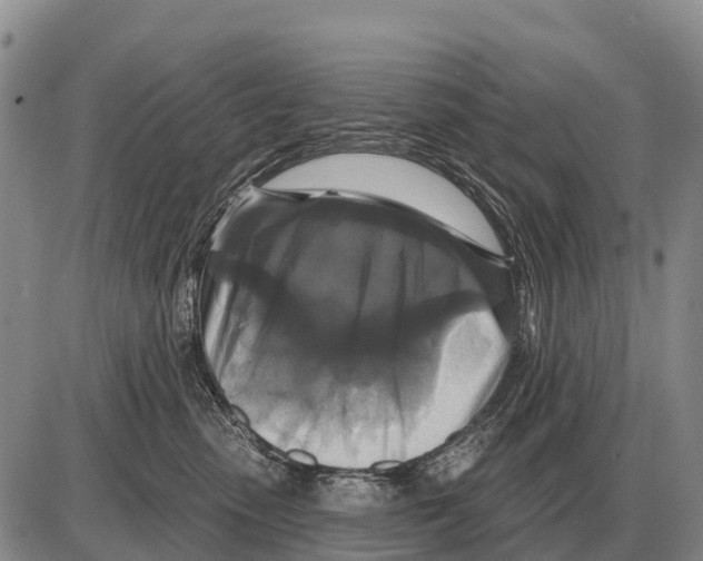 X0000086300475200704271831