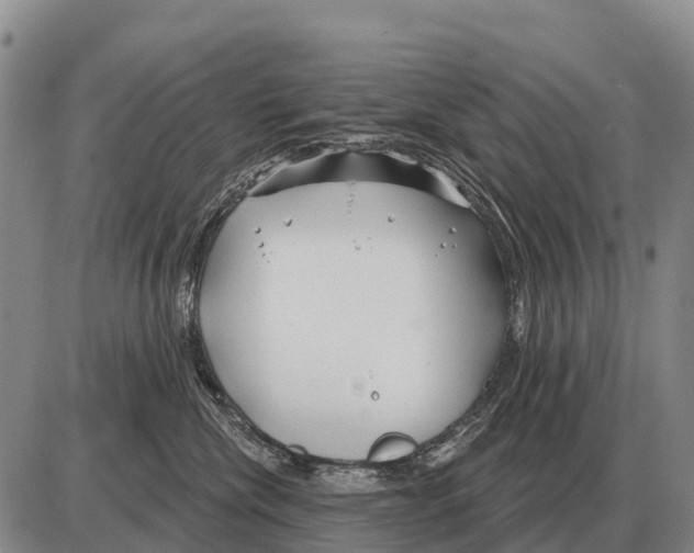 X0000086300476200704271831