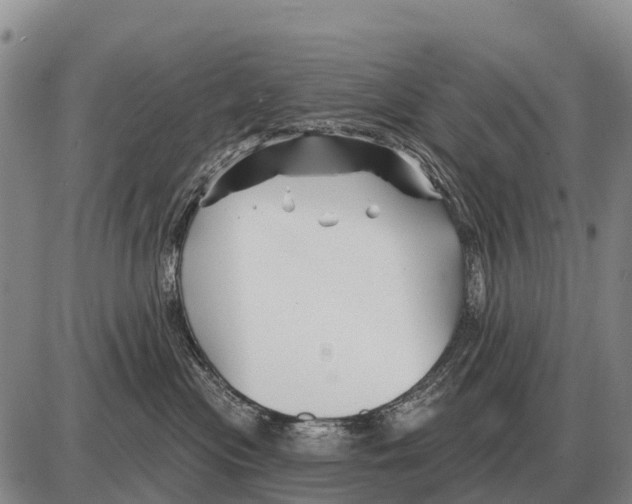 X0000086300477200704271831