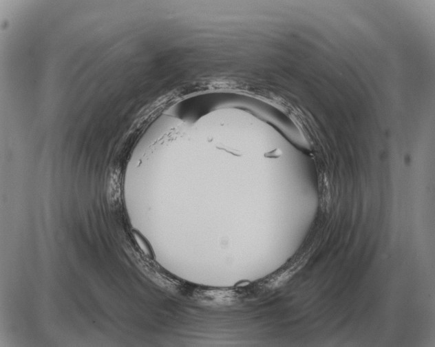 X0000086300478200704271831