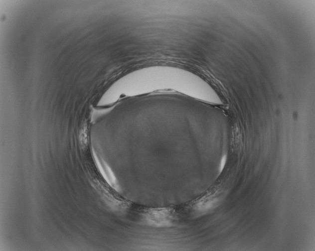 X0000086300479200704271831