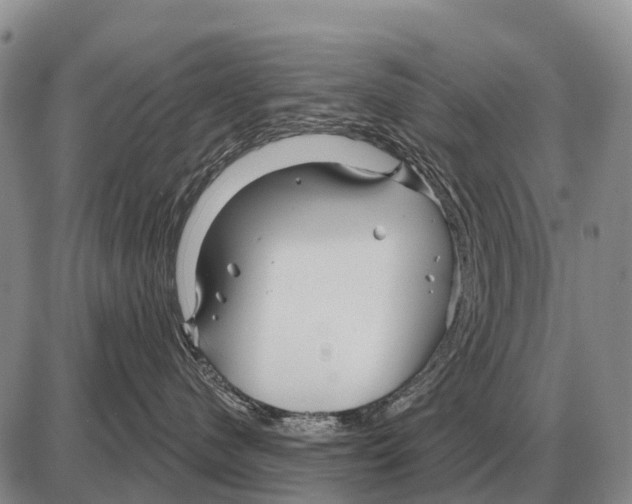 X0000086300480200704271831