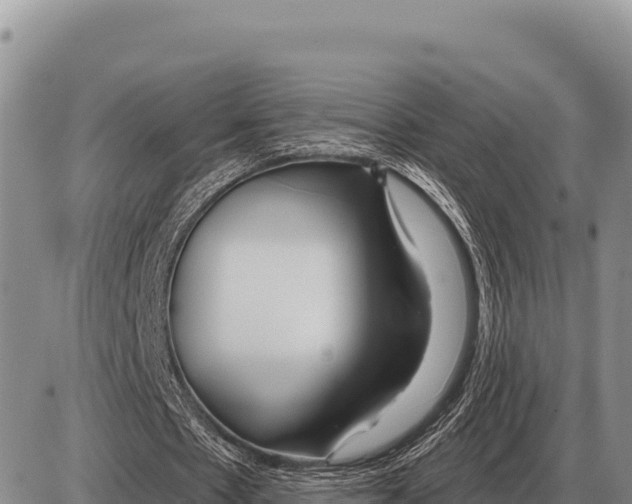 X0000086300481200704271831