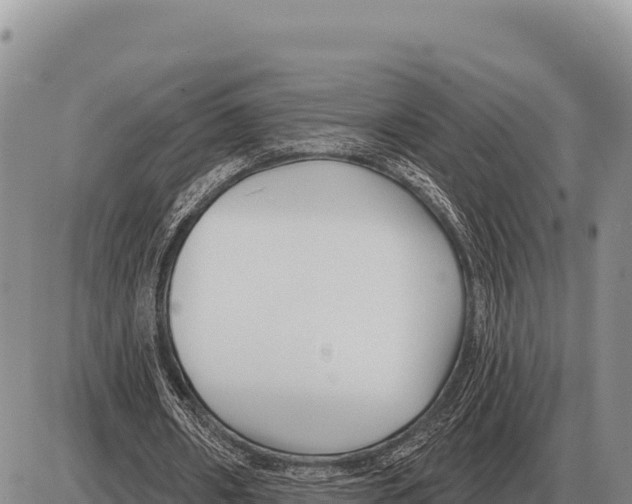 X0000086300482200704271831