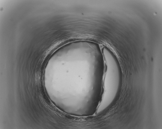 X0000086300483200704271831