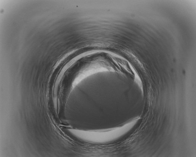 X0000086300484200704271831