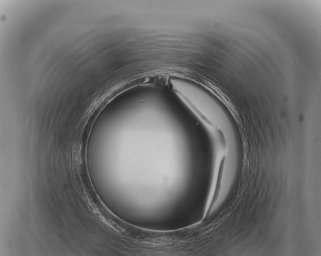 X0000086300485200704271831