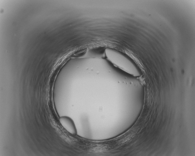 X0000086300486200704271831