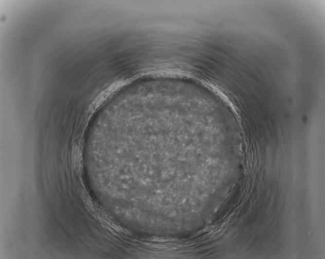 X0000086300487200704271831