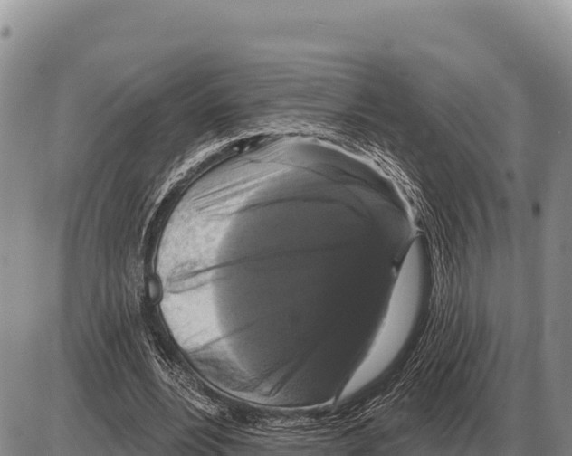 X0000086300488200704271831