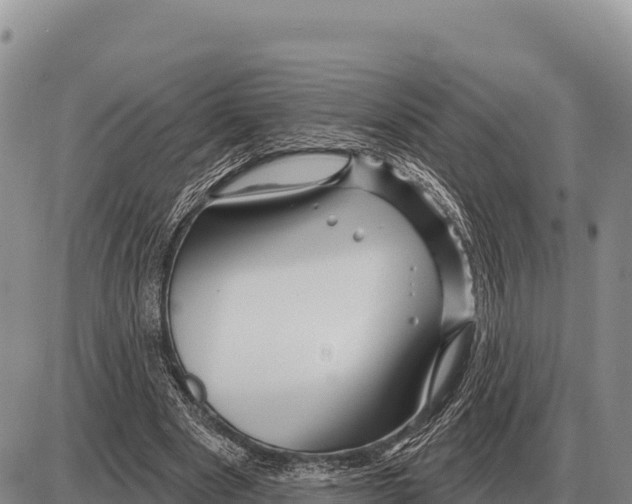 X0000086300489200704271831