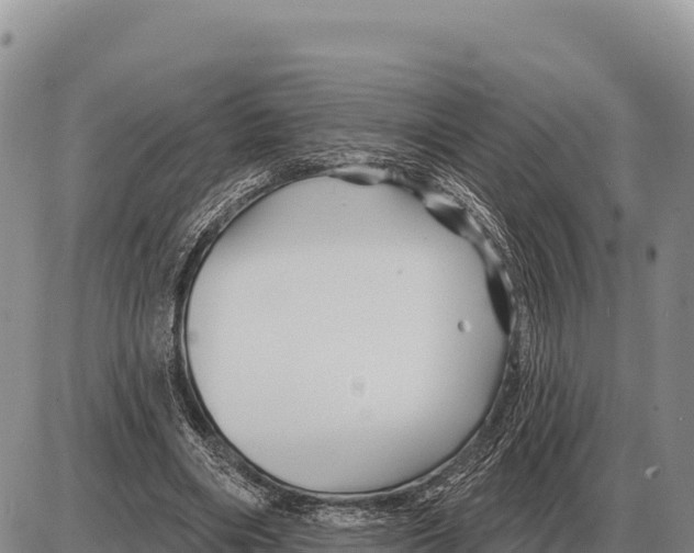 X0000086300490200704271831