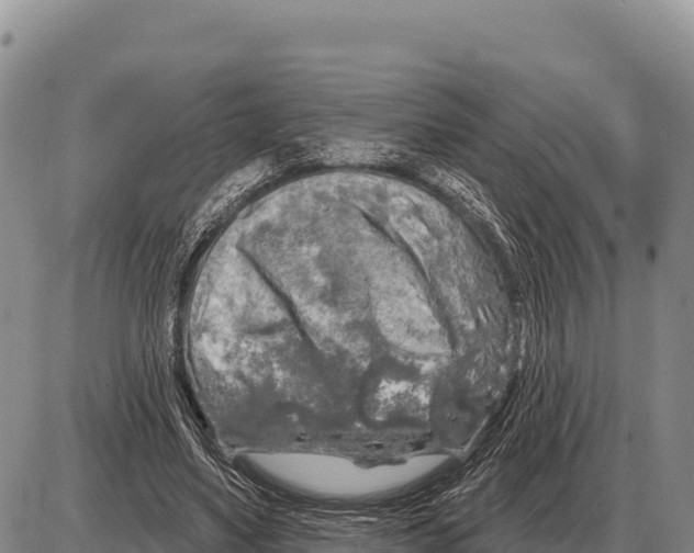 X0000086300491200704271830