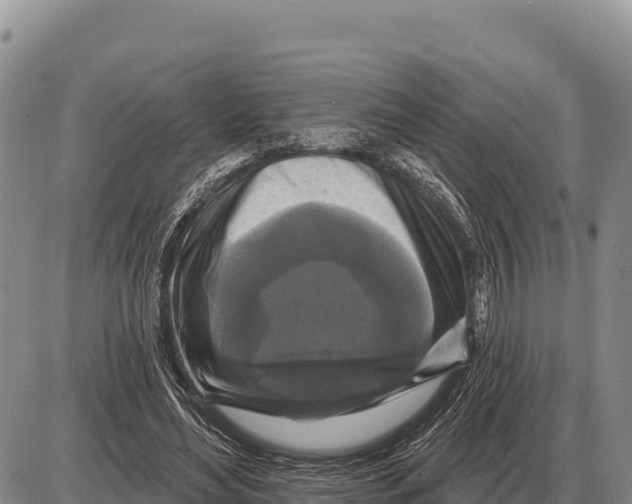 X0000086300492200704271830