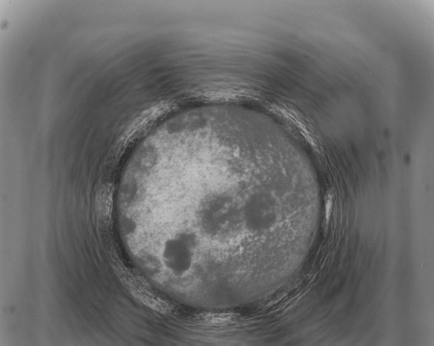 X0000086300495200704271830