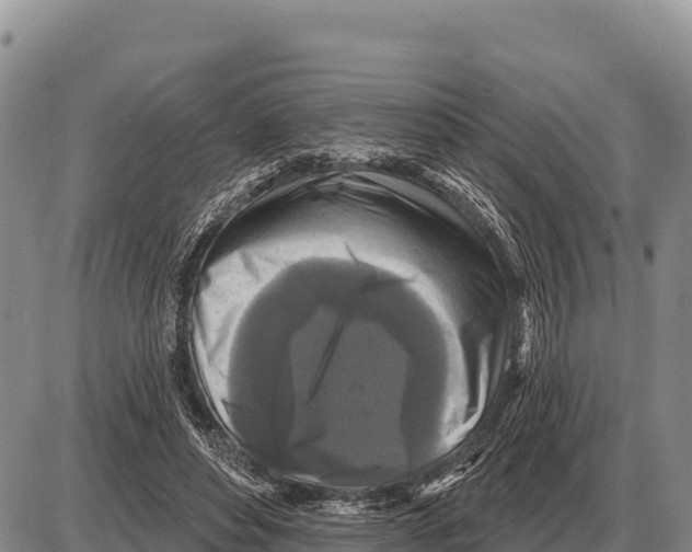 X0000086300496200704271830