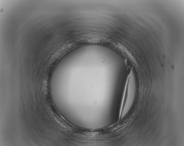 X0000086300497200704271830