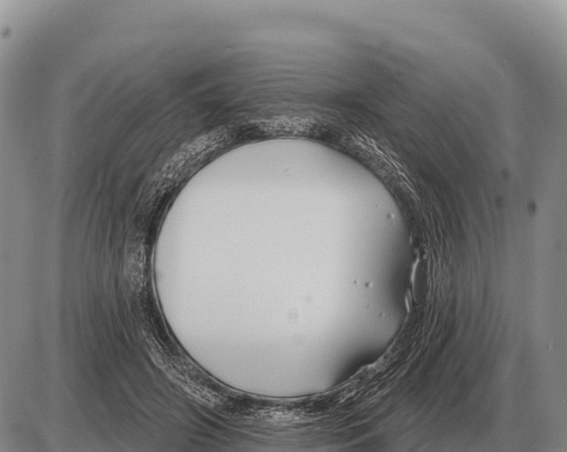 X0000086300498200704271830