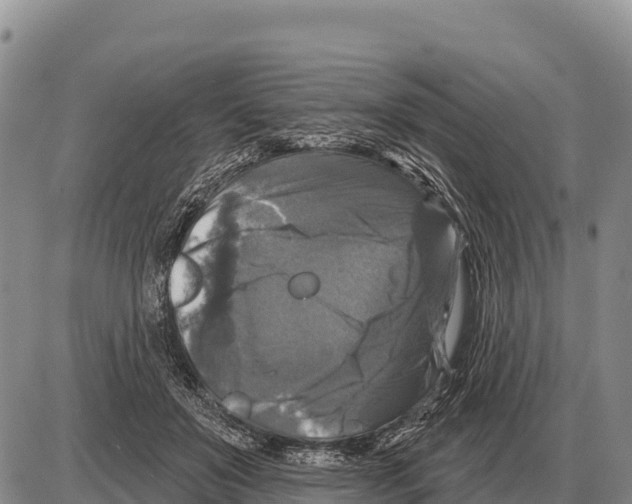 X0000086300503200704271830