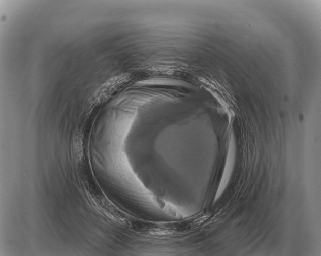 X0000086300504200704271830