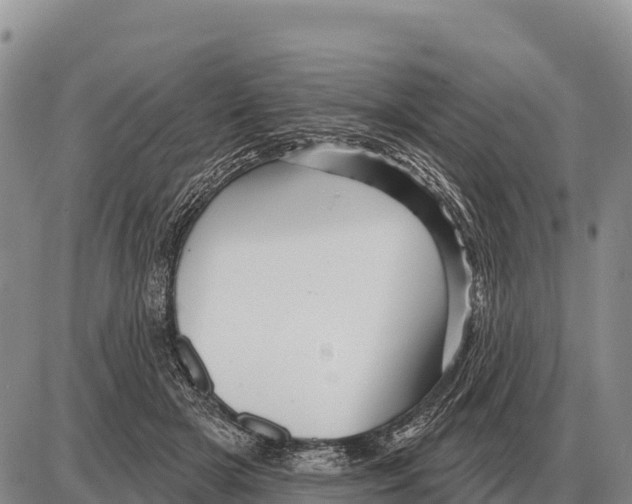 X0000086300505200704271830