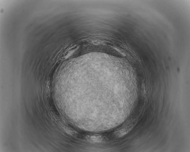 X0000086300506200704271830