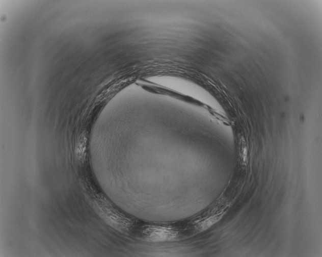 X0000086300507200704271830