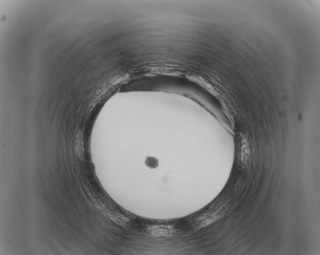 X0000086300508200704271830