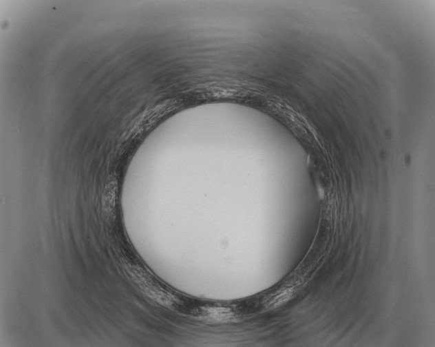 X0000086300509200704271830