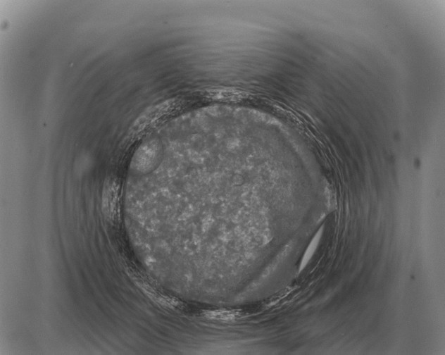 X0000086300511200704271830