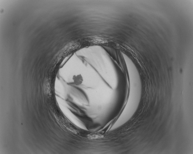 X0000086300512200704271830