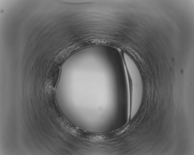 X0000086300513200704271830