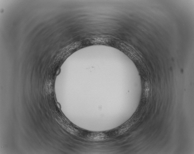 X0000086300514200704271830