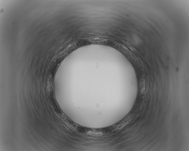 X0000086300515200704271830