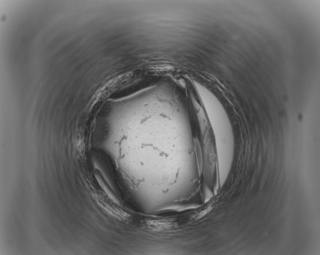 X0000086300516200704271830