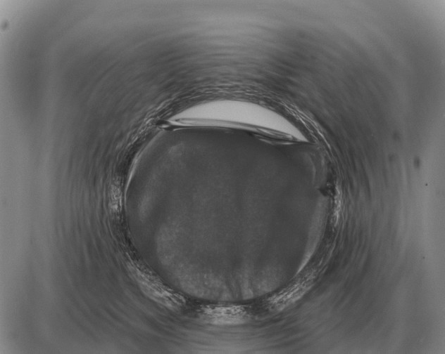 X0000086300517200704271830