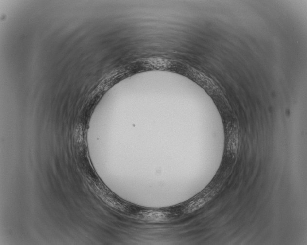 X0000086300518200704271830