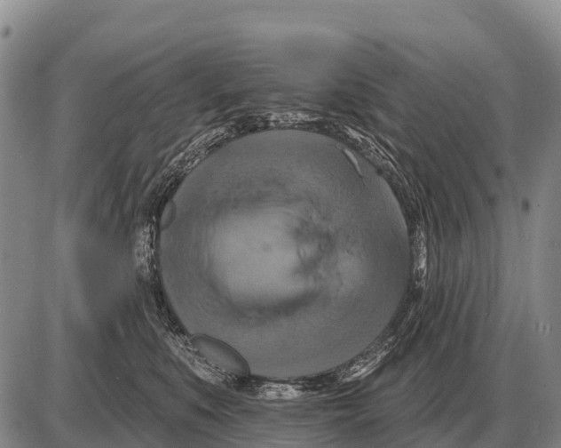 X0000086300519200704271830