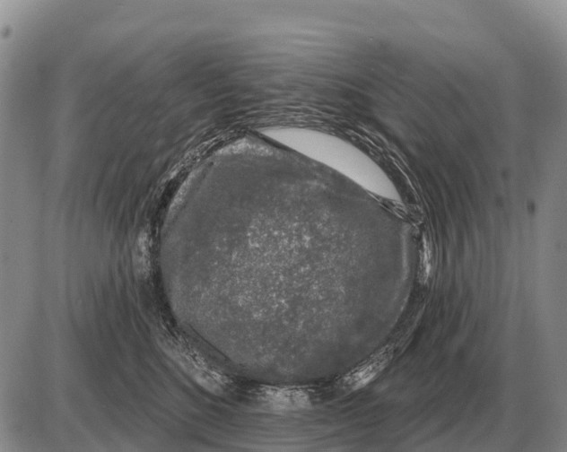 X0000086300520200704271830