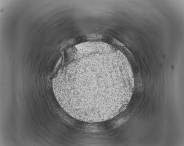 X0000086300523200704271830