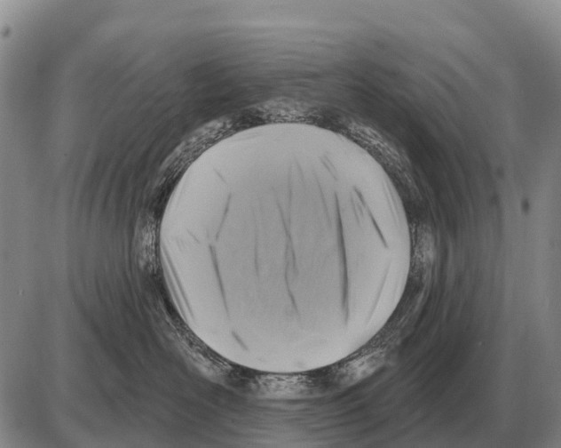 X0000086300526200704271830