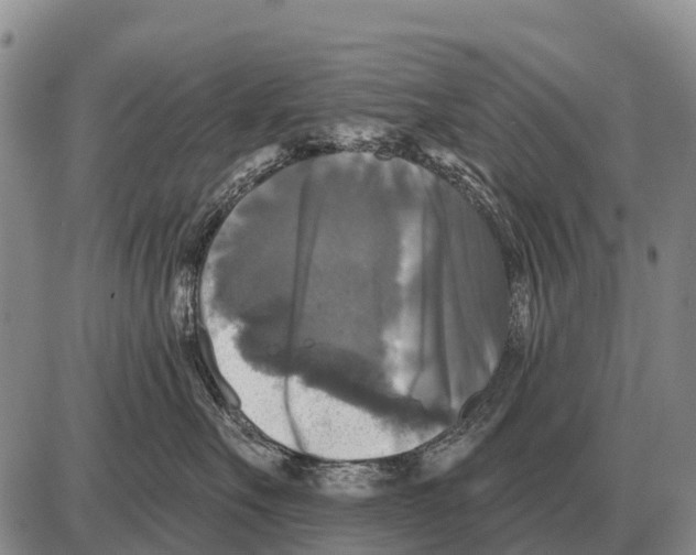 X0000086300527200704271830