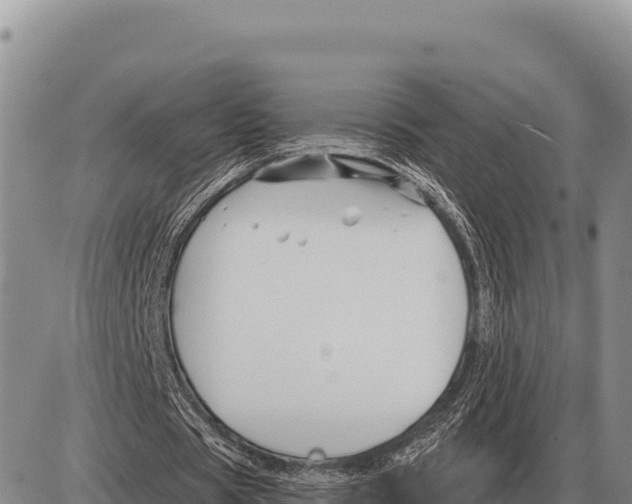 X0000086300529200704271829