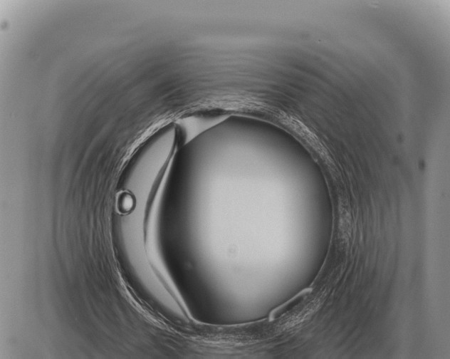 X0000086300530200704271829