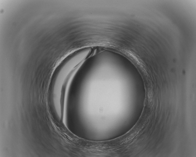 X0000086300532200704271829