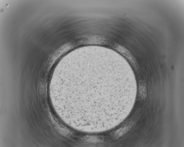 X0000086300534200704271829