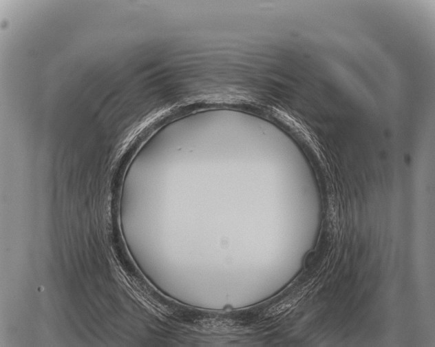 X0000086300535200704271829