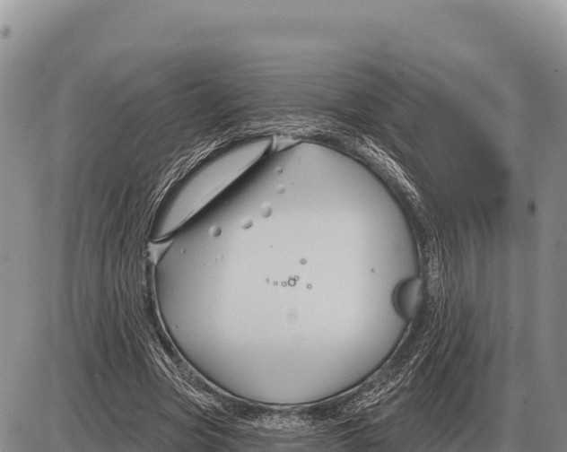 X0000086300537200704271829