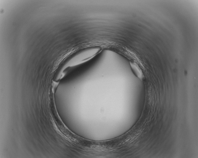 X0000086300538200704271829