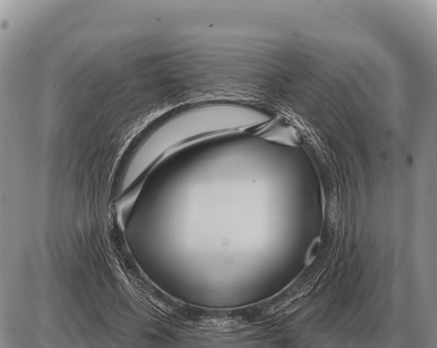 X0000086300540200704271829